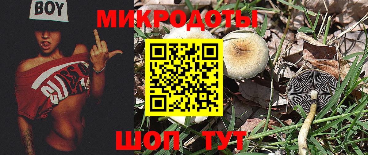 Дмитров  Псилоцибиновые грибы Psilocybine cubensis  Вход с VPN  дарнет шоп  Галлюциногенные грибы GOLDEN TEACHER 